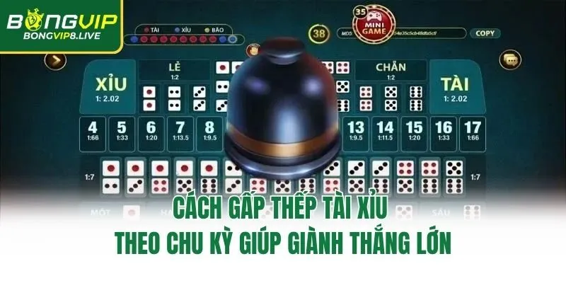 Cách gấp thếp tài xỉu theo chu kỳ giúp giành thắng lớn