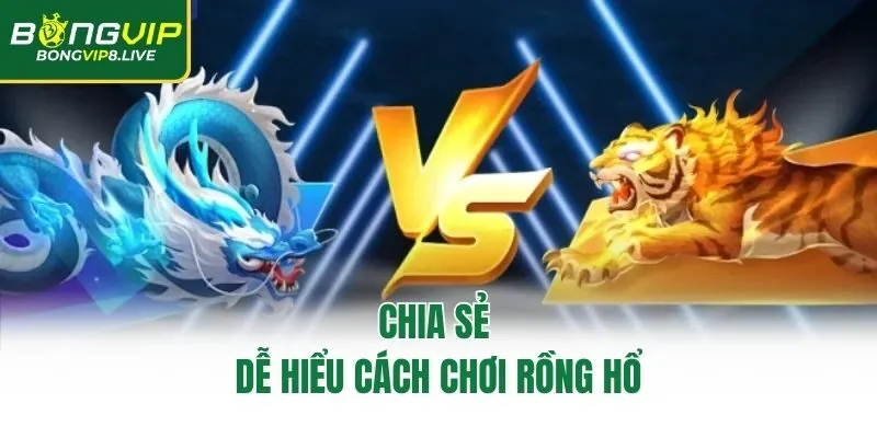 Chia sẻ dễ hiểu cách chơi Rồng Hổ