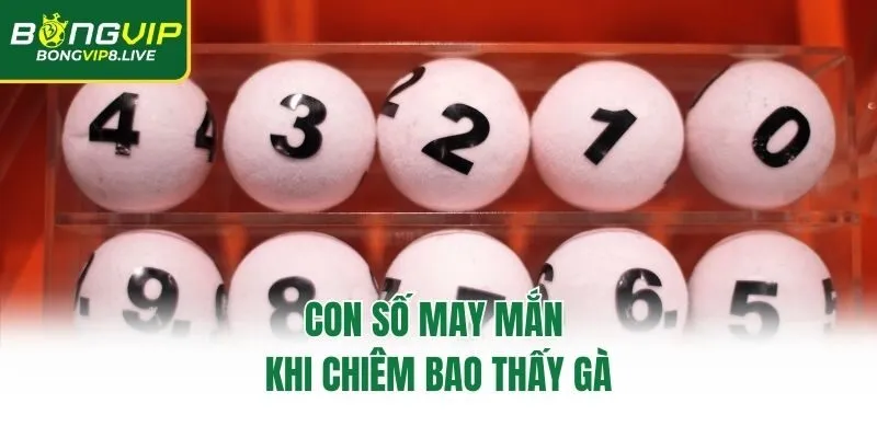 Con số may mắn khi chiêm bao thấy gà