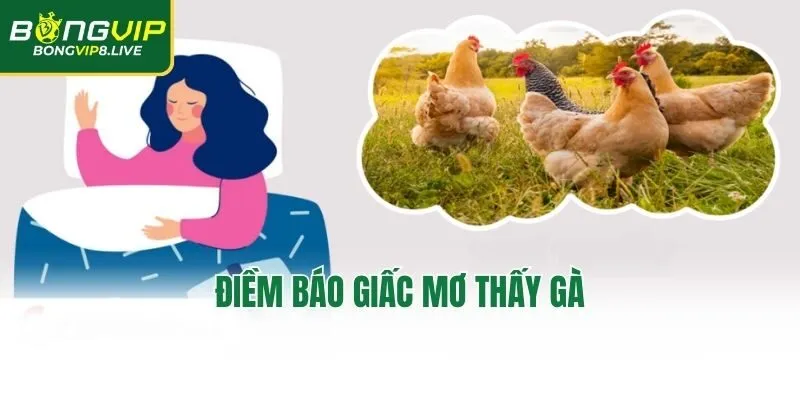 Điềm báo giấc mơ thấy gà