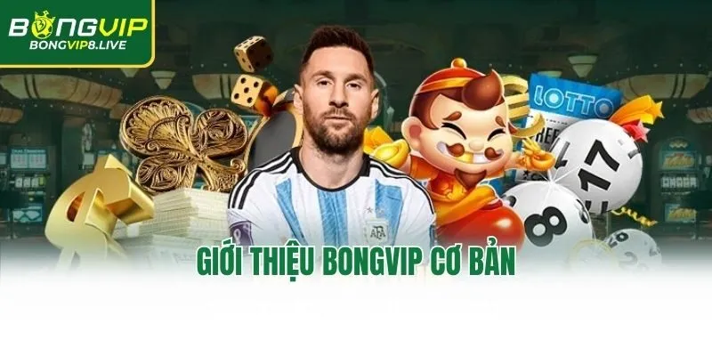 Giới thiệu Bongvip cơ bản