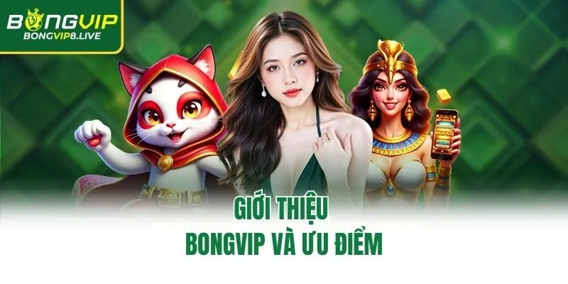 Giới thiệu Bongvip và ưu điểm