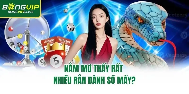 Nằm mơ thấy rất nhiều rắn đánh số mấy?