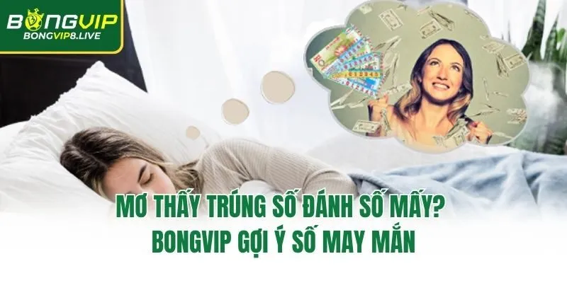 Mơ Thấy Trúng Số Đánh Số Mấy? Bongvip Gợi Ý Số May Mắn